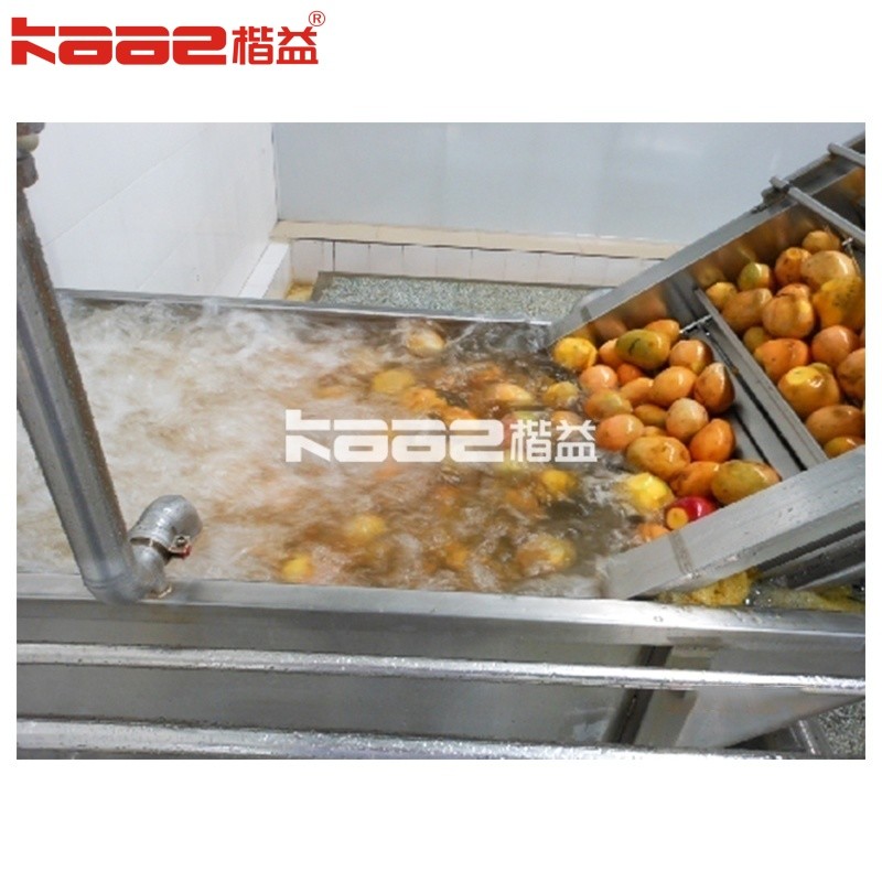 Complete Mango Juice Processing Machine 1t/H~20t/H Or Customized