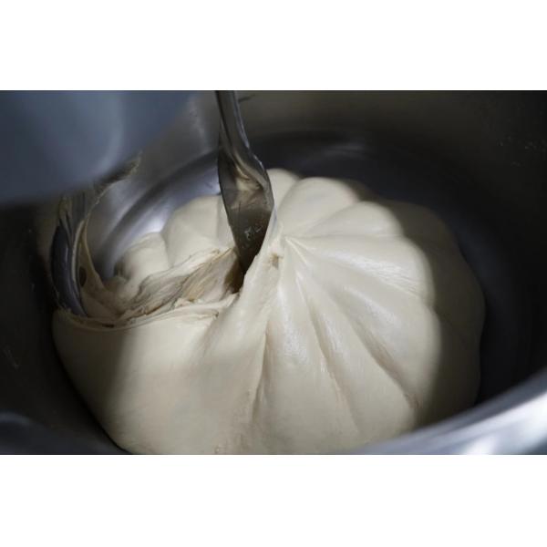 260 Pound Domestic Spiral Dough Mixer 4.5kw Industrial Spiral Mixer Dual Speed