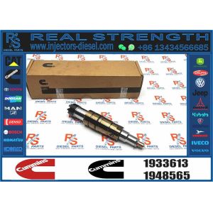 Diesel Common Rail Fuel Injector 1933613 Compatible