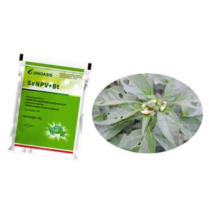 Effective Pest Management with SeNPV And Bacillus Thuringiensis Fall Armywrom