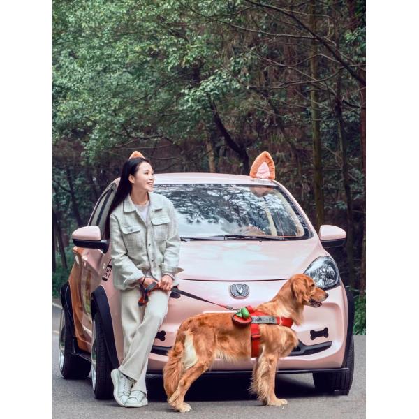 Changan Benben E-Star Electric Car 2023 Model 5 Door 5 Seats Pure Electric 75HP 301km Range 101km/h Full load weight 1150KG