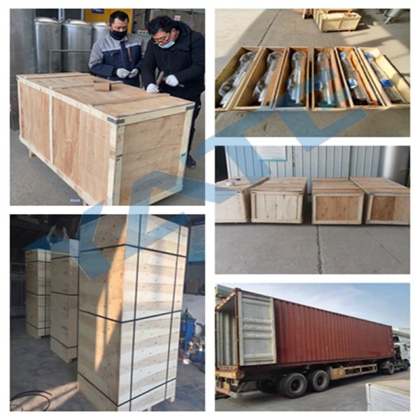 Stainless Steel Cartridge Filter Housing with 0.6Mpa Working Pressure and 0.2 μm Filtration Precision for Liquid Filtration