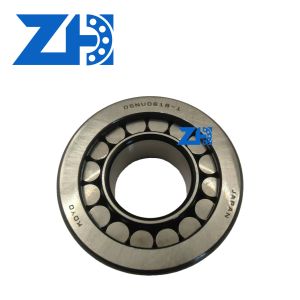 GCR15 05NU0618 Cylindrical Roller Bearing Smooth Rotation