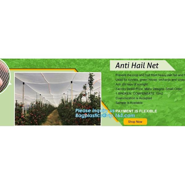 Buy agriculture in 40g with customizable sizes,100% virgin hdpe anti hail net, Hail Protection Net for Agriculture, Made in at wholesale prices