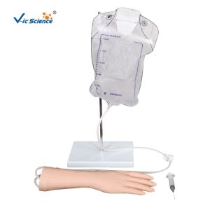 PVC Iv Hand Model 8kgs Medical Training Manikins