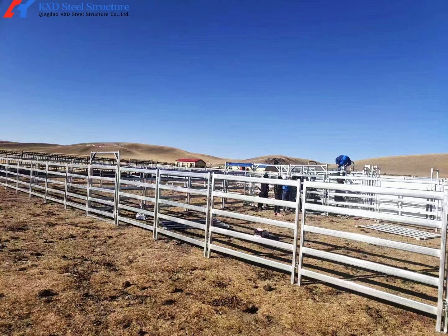 Easy Assembly Cattle Sheds Steel Structure Cow Farming Shed Weather Resistant