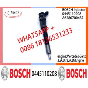 BOSCH Common fuel Injector A62897995870080 0445110207 0445110208 A6280700487