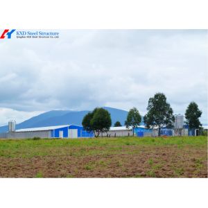 1000-Bird Broiler Chicken Cage - Steel Poultry Transport Coop