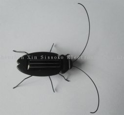 solar cockroach