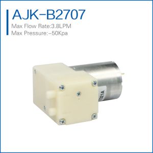 high flow rate mini vacuum pump