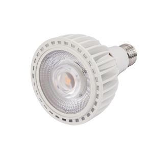 20 Degree 2700k PAR30 Led Spotlight 230V 22W Dimmable Flicker Free PAR30 Bulbs