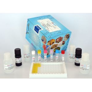 Food Safety Enrofloxacin ELISA Test Kit Rapid Assay Protocol With Strong