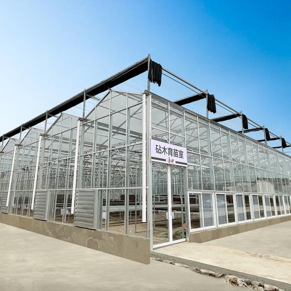 Buy Multi Span Hyroponic Galvanized Float Venlo Greenhouse Glass Agricultural Kits at wholesale prices