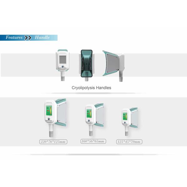 cryolipolysis simming machine coolsculpting