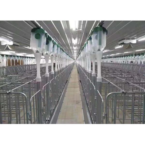 HI HOPE Swine Breeding Equipment Automatic Drinker Gestation Pens For Sows
