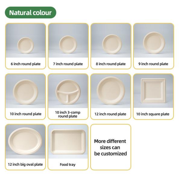 White 3 Compartment Bagasse Tray Original Color Dinner Sugarcane Bagasse Pulp 10 Inch Round Plates