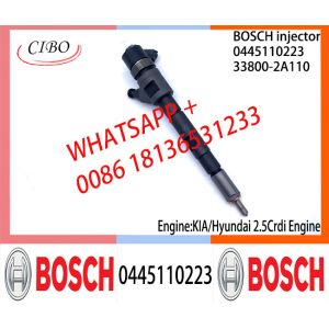 BOSCH Common fuel Injector 0445110186 0445110185 0445110222 0445110223 33800