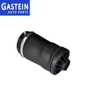 2513200425 W251 Air Suspension