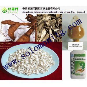 Quality pueraria mirifica powder extract best quailty --Pueraria Lobata (Wild.) ohwi for sale