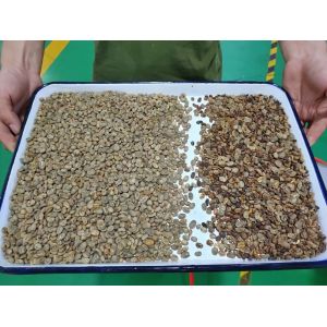 High Sorting Accuracy Coffee Grain Color Sorter Machine Rice Plastic Nut Sorting
