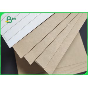 100% compostable Single Side White Coated Food Paper Board 325gsm