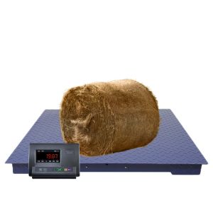 3000KG LCD Electronic Industrial Floor Pallet Scale