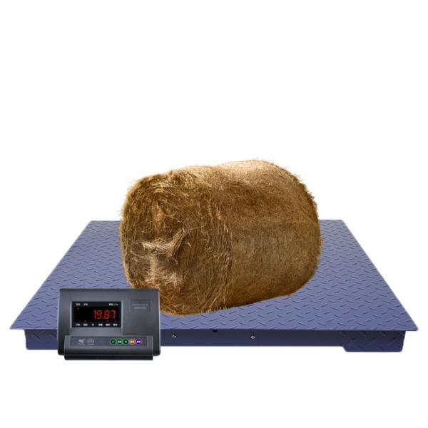 Buy 3000KG LCD Electronic Industrial Floor Pallet Scale at wholesale prices