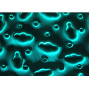 Printed EVA Laminated Glass 11.5mm Liquid Stereoscopic Effect Pattern