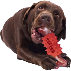 Rubberized Chewing Bone Dog Toy Tooth Grinding Tooth Cleaning
