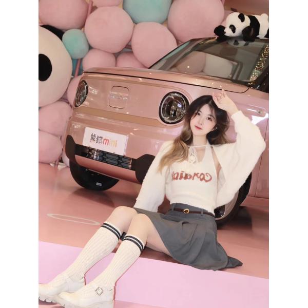 GEELY Panda Mini 2 Speakers And 1 Camera Sport And Comfortable Two Driving Modes Choice Electric Car With Synchronous Motor