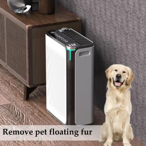 China Ammonia Home Air Purifiers Removal Smoke For Pet - Friendly Living on sale