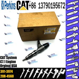 C-aterpillar Excavator Common Rail Fuel Injector 0445120348 20R-4560 391-3974