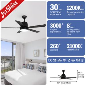 6 Speed Remote Control Quiet DC Motor Decorative 5 Blades Ceiling Fan With Light