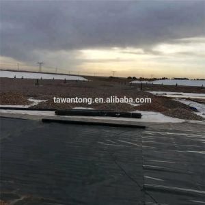 HDPE Geomembrane 300 Roll Water Tanks Farm Pond Plastic Liner for Dam Width 2m