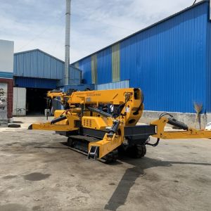 Telescopic Boom Hydraulic Spider Crawler Crane Remote Control