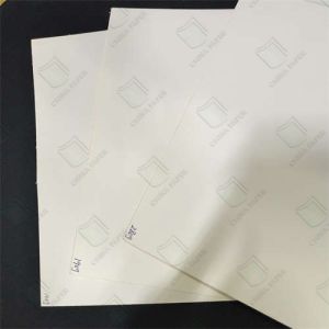 Food Grade PE Coated Cupstock Paper 150g-350g For Disposable Cups Manufacturer