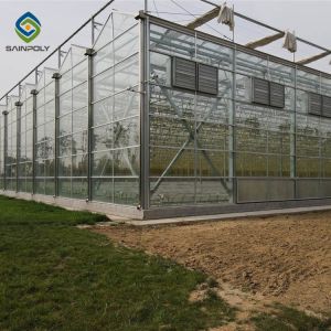 120km/H Agricultural 9.6m Multi Span Glass Greenhouses