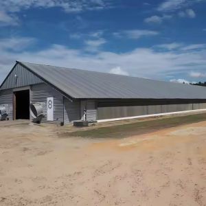 Prefab Steel Structure Chicken House Building , Light Steel Fabricated Building