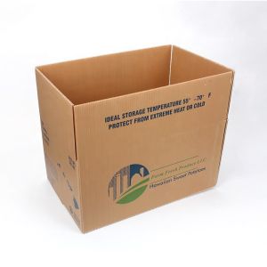 Biodegradable PP Hollow Custom Corrugated Boxes