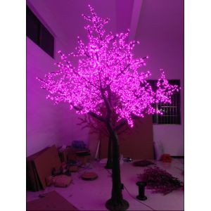 cherry blossom tree with lights