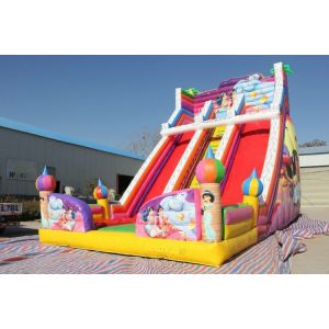 Waterproof Large Inflatable Slide Colorful Aladdin Inflatable Double Lane Slide