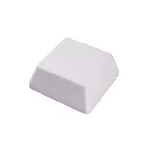 Custom Biodegradable Lunch Box Sustainable Sushi Burger Salad Packaging Solution