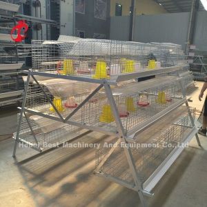 Q235 Poultry Farming Cage System Baby Chicks Brooder Steel Wire Emily