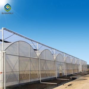 33ft Pe Elasticity Elliptical Plastic Film Greenhouse