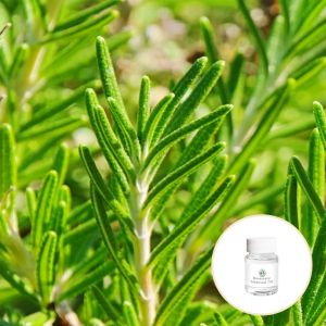 Skin Whitening Aromatherapy Essential Oils Rosemary Essential Oil Customized