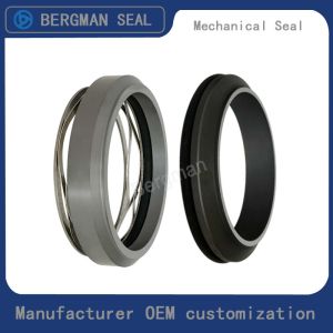 China Bergman W14 ABS-65 80 90 100mm Pump Mechanical Seal on sale