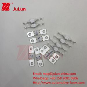 ASTM 50A 25VDC Electric Vehicle Fuses Current Range