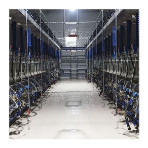 ACR Cow Milking Machine Automatic Milking System Dairy Farm