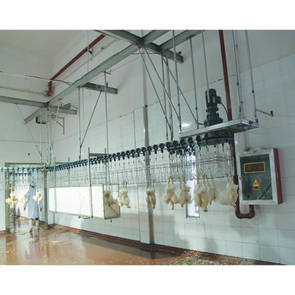 Buy Multifunctional Chicken Turkey Slaughtering Machine Poultry Slaughter Line at wholesale prices
