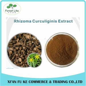 Natural Plant Powder Curcoligo Orchioides Extract 5:1 - 10:1